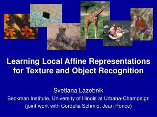 Learning Local Affine Representations for Texture and Object Recognition