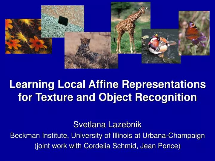 learning local affine representations for texture and object recognition