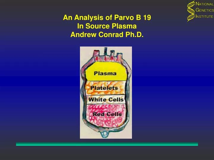 an analysis of parvo b 19 in source plasma andrew conrad ph d