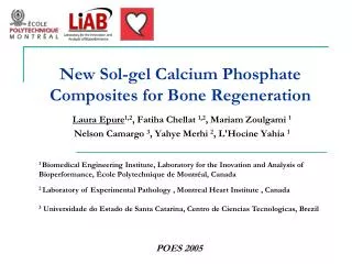 New Sol-gel Calcium Phosphate Composites for Bone Regeneration