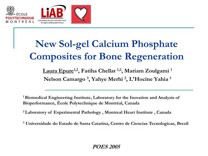 new sol gel calcium phosphate composites for bone regeneration