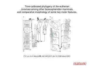Z-X Luo et al. Nature 476 , 442-445 (2011) doi:10.1038/nature10291