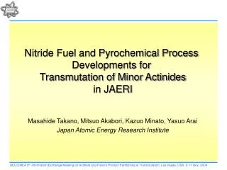 Nitride Fuel and Pyrochemical Process Developments for Transmutation of Minor Actinides in JAERI