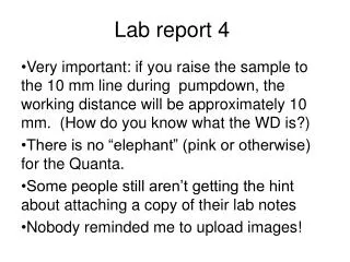 Lab report 4