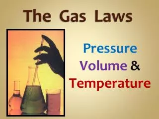 The Gas Laws