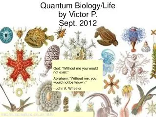Quantum Biology/Life by Victor P. Sept. 2012