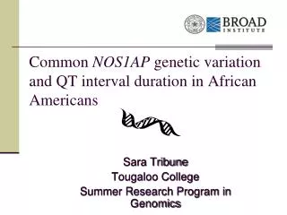 Common NOS1AP genetic variation and QT interval duration in African Americans