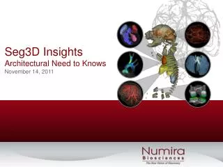 Seg3D Insights Architectural Need to Knows November 14, 2011