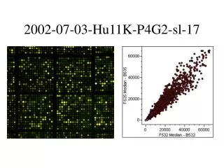 2002 07 03 hu11k p4g2 sl 17