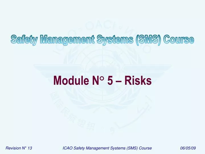 module n 5 risks