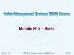 Module N ° 5 – Risks - slide 1