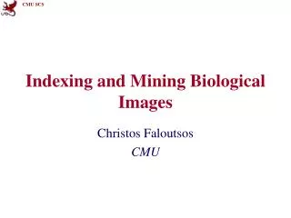 Indexing and Mining Biological Images
