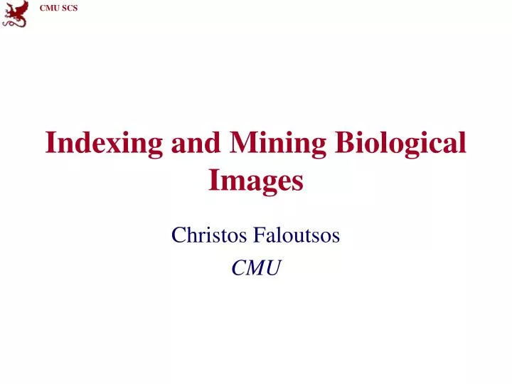 indexing and mining biological images