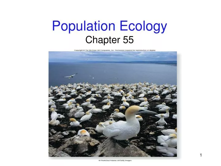 population ecology chapter 55