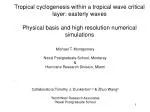 Tropical cyclogenesis within a tropical wave critical layer: easterly waves - slide 1