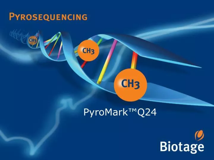 pyromark q24