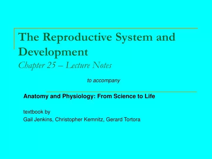 the reproductive system and development chapter 25 lecture notes