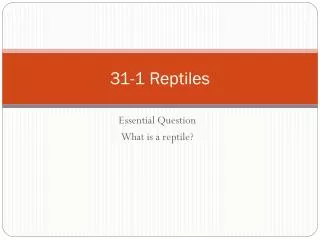 31-1 Reptiles