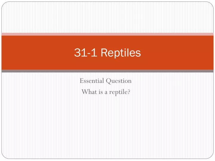 31 1 reptiles