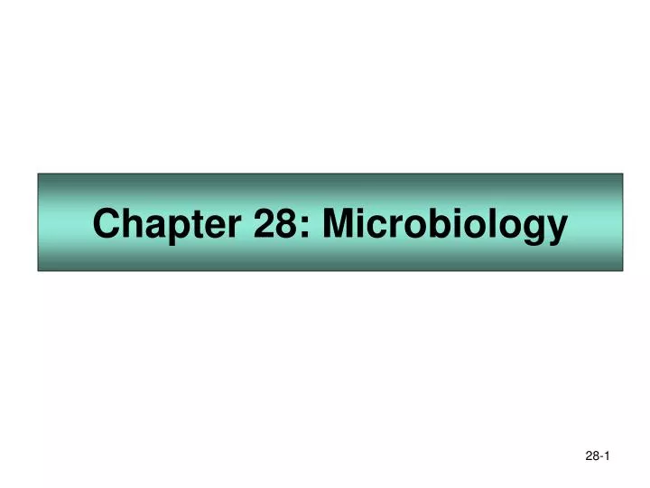 chapter 28 microbiology
