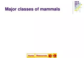 Major classes of mammals