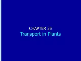CHAPTER 35 Transport in Plants