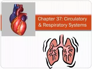 Chapter 37: Circulatory &amp; Respiratory Systems