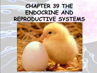CHAPTER 39 THE ENDOCRINE AND REPRODUCTIVE SYSTEMS