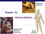 Chapter 43. - slide 1