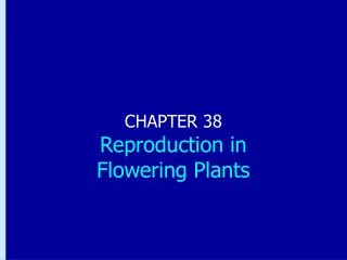 CHAPTER 38 Reproduction in Flowering Plants
