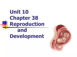 Unit 10 Chapter 38 Reproduction 	and Development