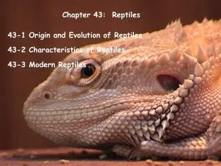 Chapter 43: Reptiles