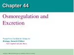 Chapter 44 - slide 1