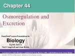Chapter 44 - slide 1