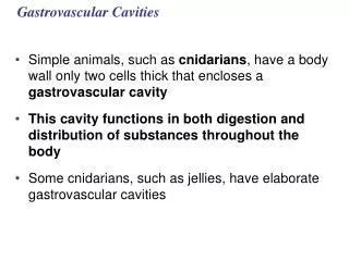 Gastrovascular Cavities