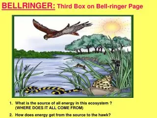 BELLRINGER: Third Box on Bell-ringer Page