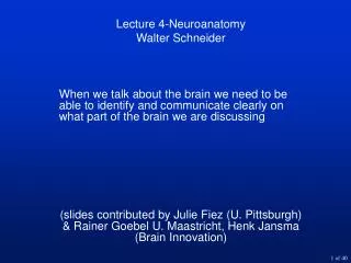 Lecture 4-Neuroanatomy Walter Schneider