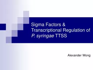 Sigma Factors &amp; Transcriptional Regulation of P. syringae TTSS