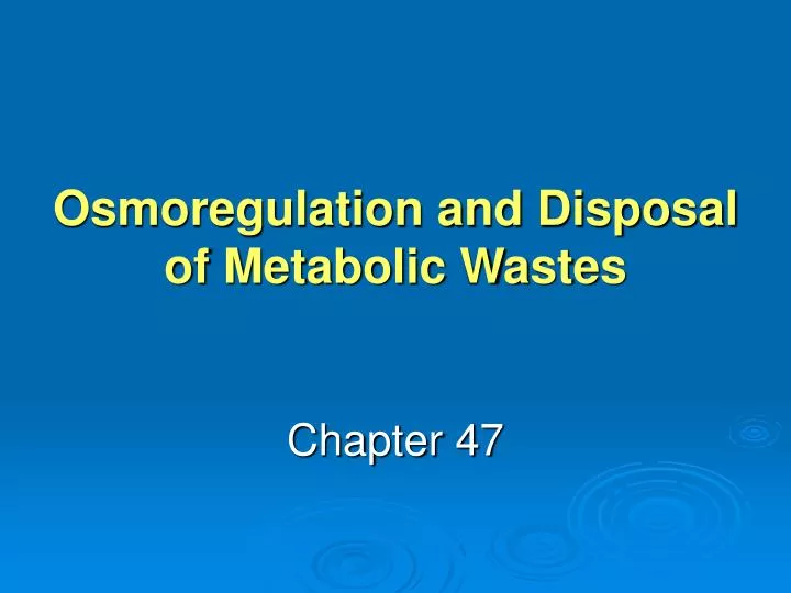 osmoregulation and disposal of metabolic wastes