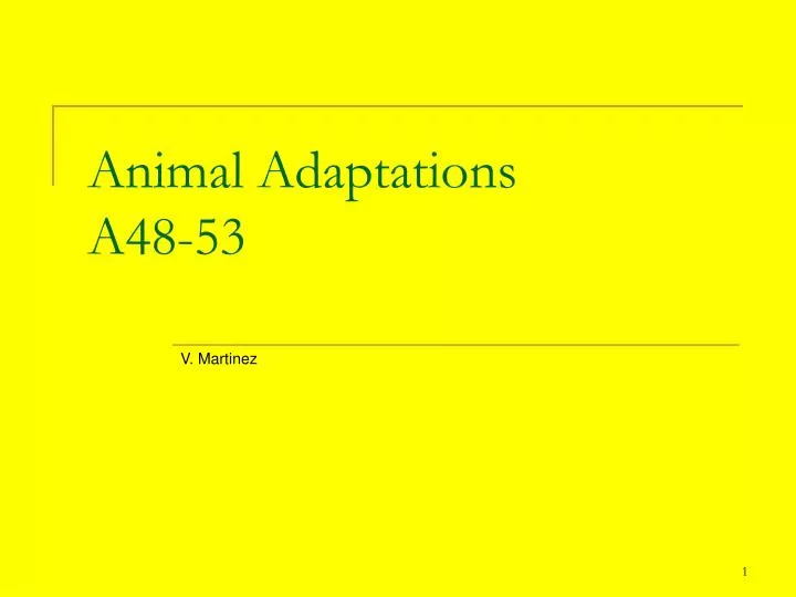 animal adaptations a48 53