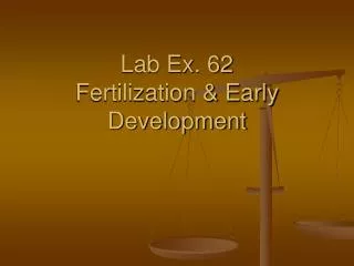 Lab Ex. 62 Fertilization &amp; Early Development