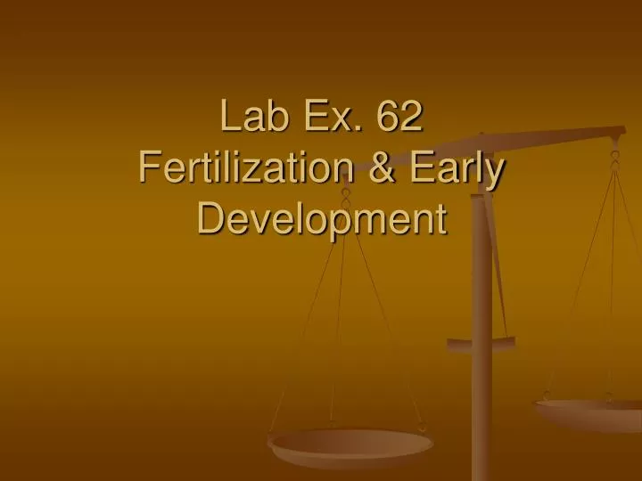 lab ex 62 fertilization early development