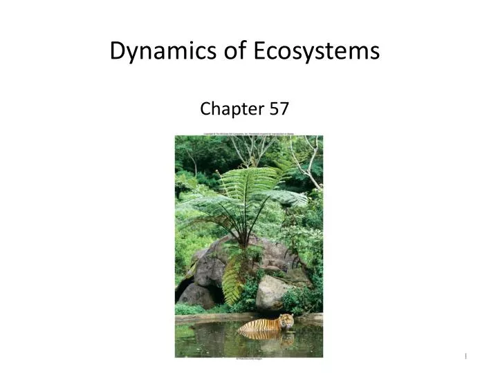 dynamics of ecosystems chapter 57