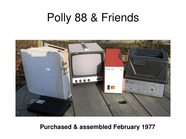 polly 88 friends