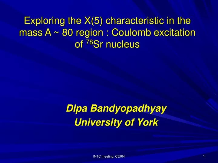 dipa bandyopadhyay university of york