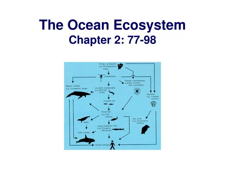 the ocean ecosystem chapter 2 77 98