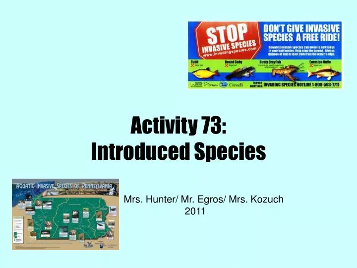 activity 73 introduced species