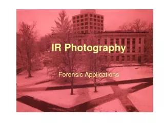 IR Photography