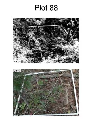plot 88