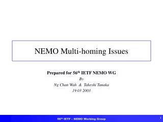 NEMO Multi-homing Issues